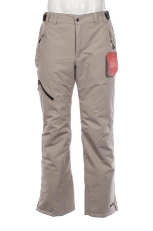 Pantaloni bărbătești pentru sporturi de iarnă Icepeak, Mărime L, Culoare Gri, Preț 513,16 Lei