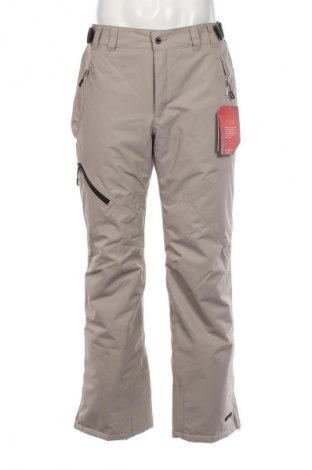 Pantaloni bărbătești pentru sporturi de iarnă Icepeak, Mărime L, Culoare Gri, Preț 276,99 Lei