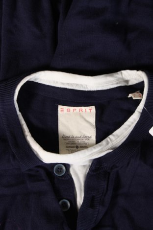 Ανδρικό πουλόβερ Esprit, Μέγεθος XL, Χρώμα Μπλέ, Τιμή 13,04 €