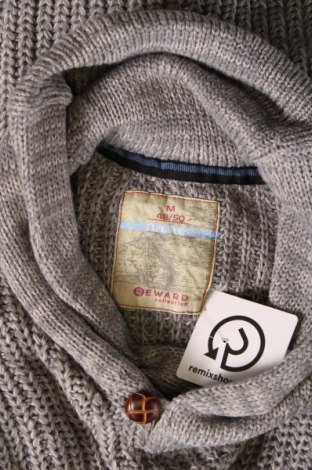 Ανδρικό πουλόβερ Reward, Μέγεθος M, Χρώμα Γκρί, Τιμή 10,76 €