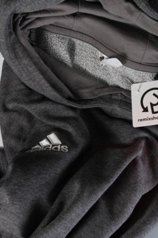 Ανδρικό φούτερ Adidas, Μέγεθος XXL, Χρώμα Γκρί, Τιμή 34,02 €