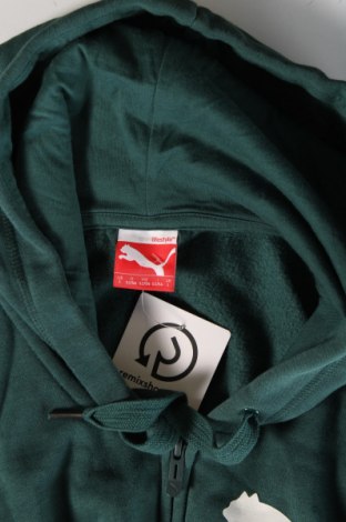 Herren Sweatshirt PUMA, Größe L, Farbe Grün, Preis 38,27 €