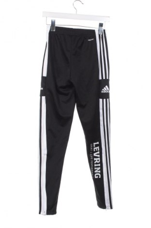 Pánské tepláky  Adidas, Velikost XS, Barva Černá, Cena  654,00 Kč