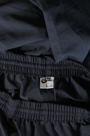 Ανδρικό αθλητικό παντελόνι Pro Touch, Μέγεθος L, Χρώμα Μπλέ, Τιμή 10,76 €