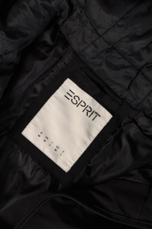 Herrenjacke Esprit, Größe M, Farbe Schwarz, Preis € 43,01