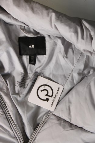 Pánska bunda  H&M, Veľkosť S, Farba Sivá, Cena  21,38 €
