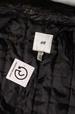 Pánska bunda  H&M, Veľkosť S, Farba Hnedá, Cena  13,61 €