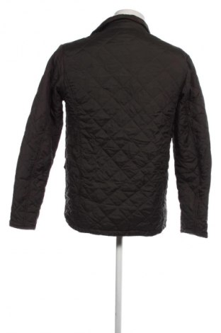 Herrenjacke Luciano, Größe M, Farbe Grün, Preis € 11,99