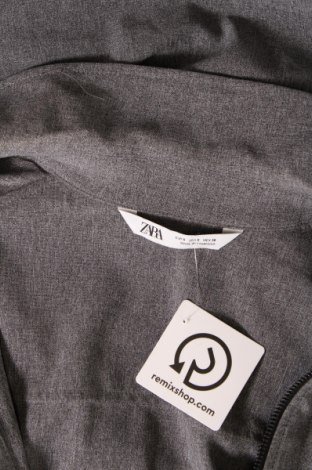 Pánska bunda  Zara, Veľkosť S, Farba Sivá, Cena  11,63 €
