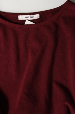 Kleid About You, Größe S, Farbe Rot, Preis 17,58 €
