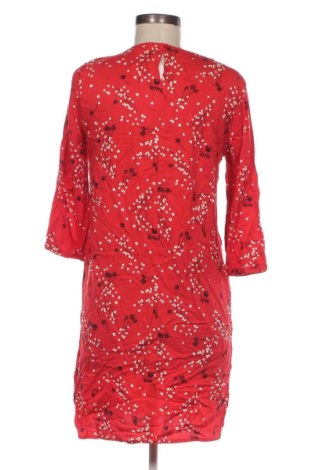 Kleid Armedangels, Größe XS, Farbe Rot, Preis € 31,38