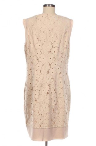 Kleid Betty Barclay, Größe XL, Farbe Beige, Preis € 22,07