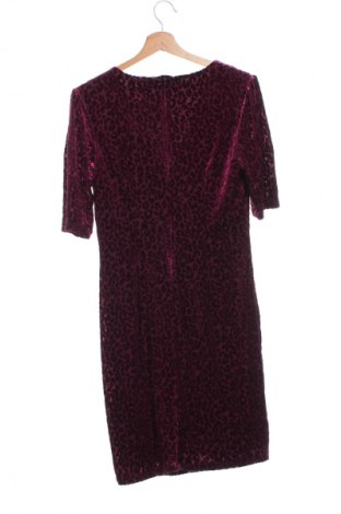 Kleid Breal, Größe XS, Farbe Lila, Preis € 36,46