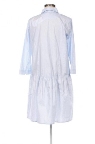 Kleid Cinque, Größe XS, Farbe Mehrfarbig, Preis 57,83 €