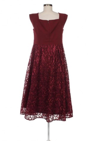 Kleid Coast, Größe L, Farbe Rot, Preis € 61,80