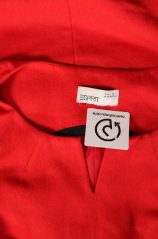 Kleid Esprit, Größe L, Farbe Rot, Preis € 20,04