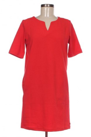 Kleid Garcia Jeans, Größe S, Farbe Rot, Preis 33,40 €