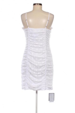 Kleid Hollister, Größe XL, Farbe Weiß, Preis 31,73 €