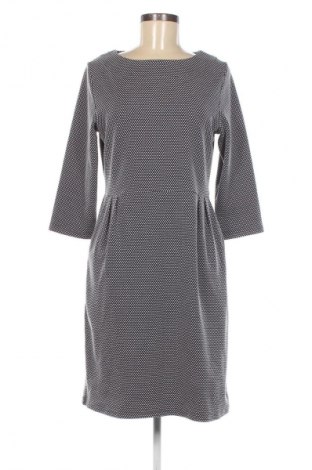 Kleid Joules, Größe L, Farbe Mehrfarbig, Preis € 29,86