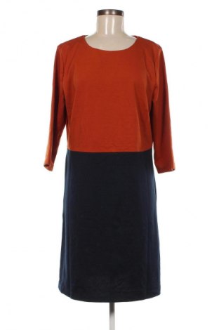Kleid London Fog, Größe XL, Farbe Mehrfarbig, Preis € 33,40