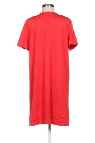 Kleid Marc Cain, Größe XL, Farbe Rot, Preis € 64,55