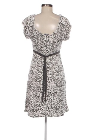 Kleid Okay, Größe XL, Farbe Mehrfarbig, Preis € 20,18