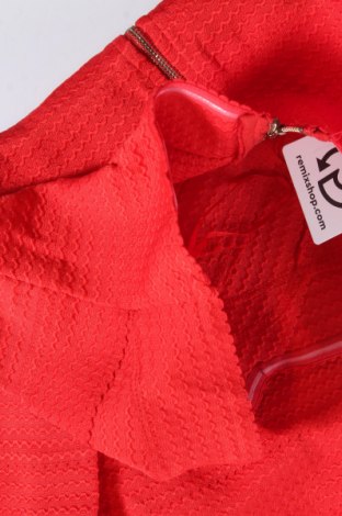 Kleid Rare London, Größe M, Farbe Rot, Preis 16,37 €