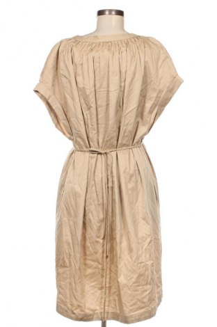 Kleid S.Oliver, Größe XXL, Farbe Beige, Preis 55,67 €