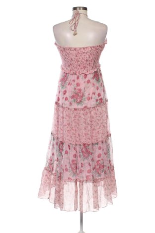 Šaty  Sweet Miss, Veľkosť XL, Farba Ružová, Cena  16,44 €
