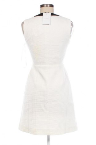 Kleid Ted Baker, Größe S, Farbe Weiß, Preis 95,26 €