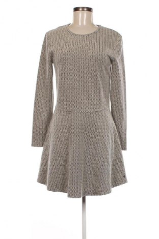 Φόρεμα Tom Tailor, Μέγεθος XL, Χρώμα Πολύχρωμο, Τιμή 13,36 €