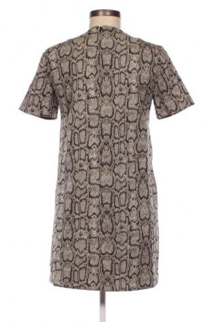 Φόρεμα Zara, Μέγεθος S, Χρώμα Πολύχρωμο, Τιμή 8,68 €