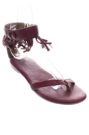 Sandalen S-zone, Größe 37, Farbe Lila, Preis € 13,99