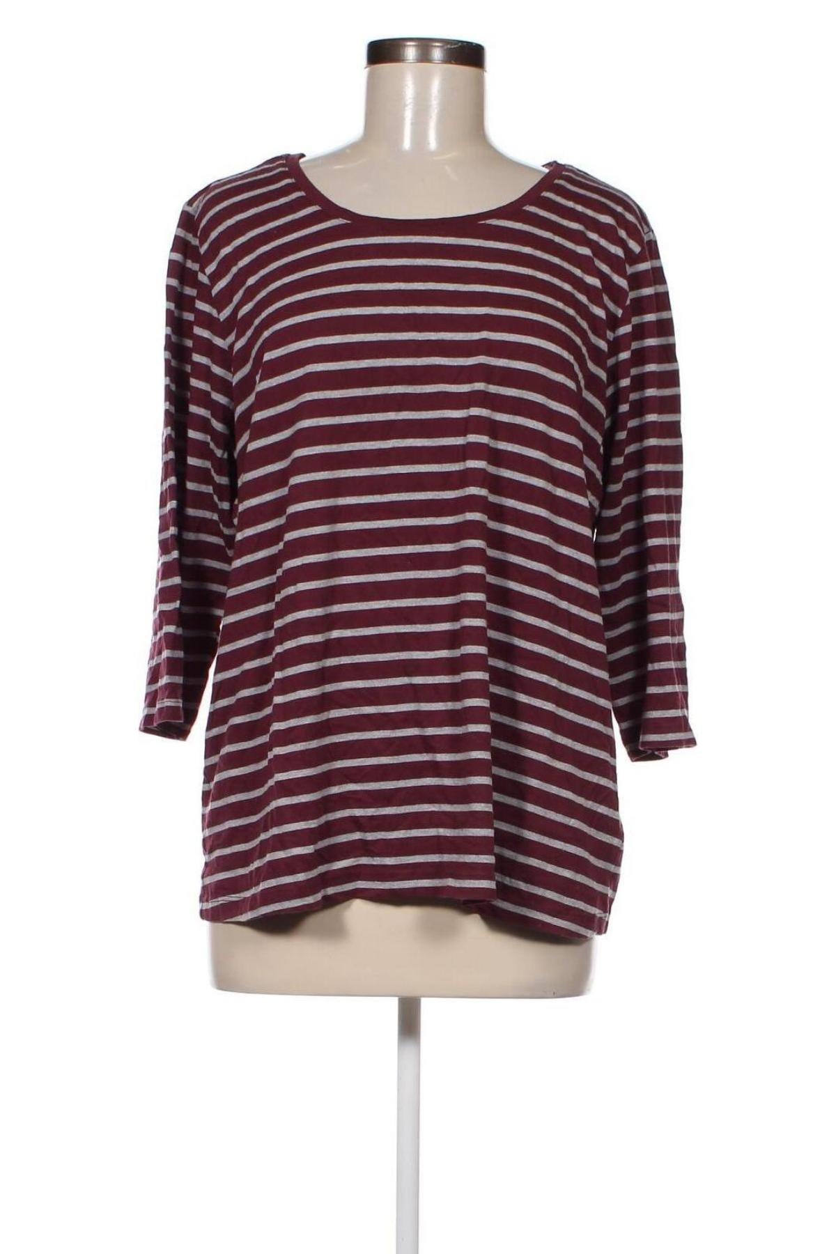 Damen Shirt Collection L, Größe XXL, Farbe Mehrfarbig, Preis 7,27 €