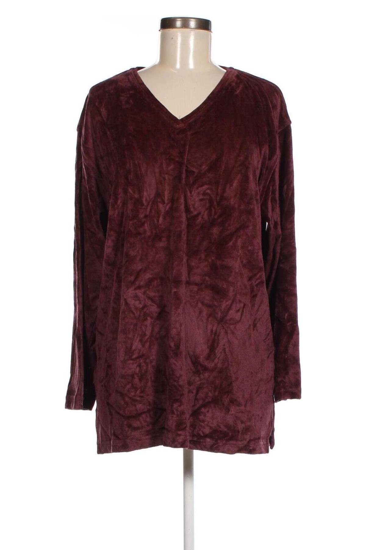 Γυναικεία μπλούζα Joy, Μέγεθος XL, Χρώμα Βιολετί, Τιμή 11,57 €