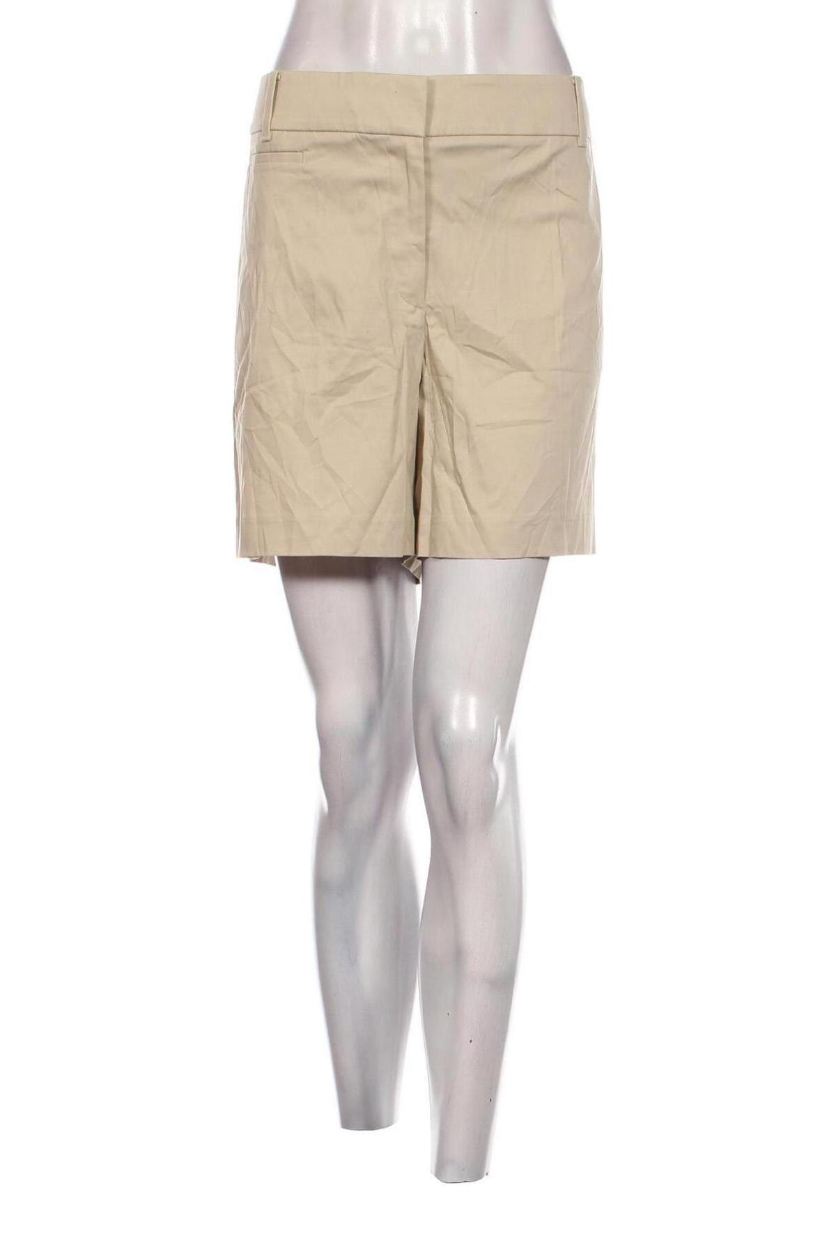 Damen Shorts Ann Taylor, Größe XXL, Farbe Beige, Preis 8,99 €