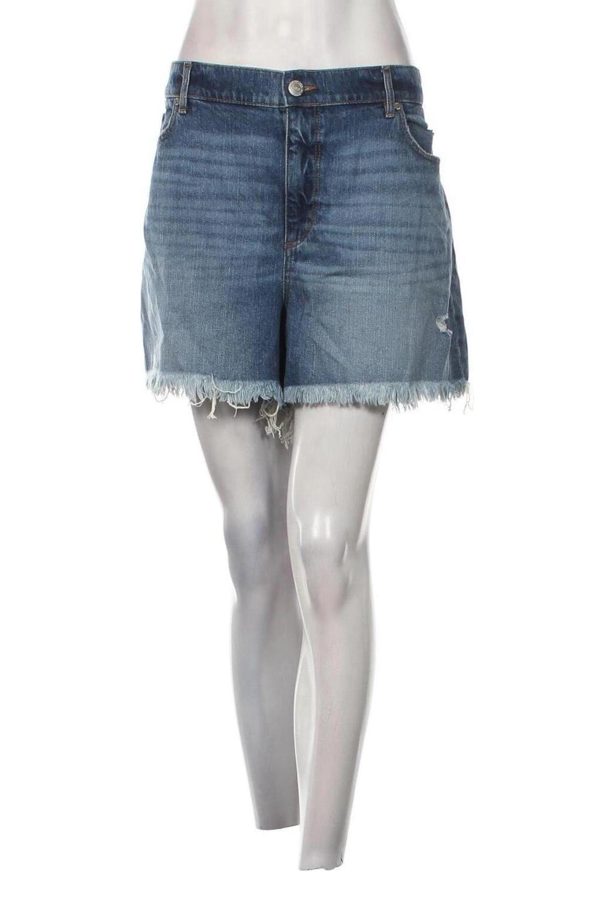 Damen Shorts Loft By Ann Taylor, Größe XXL, Farbe Blau, Preis 31,31 €