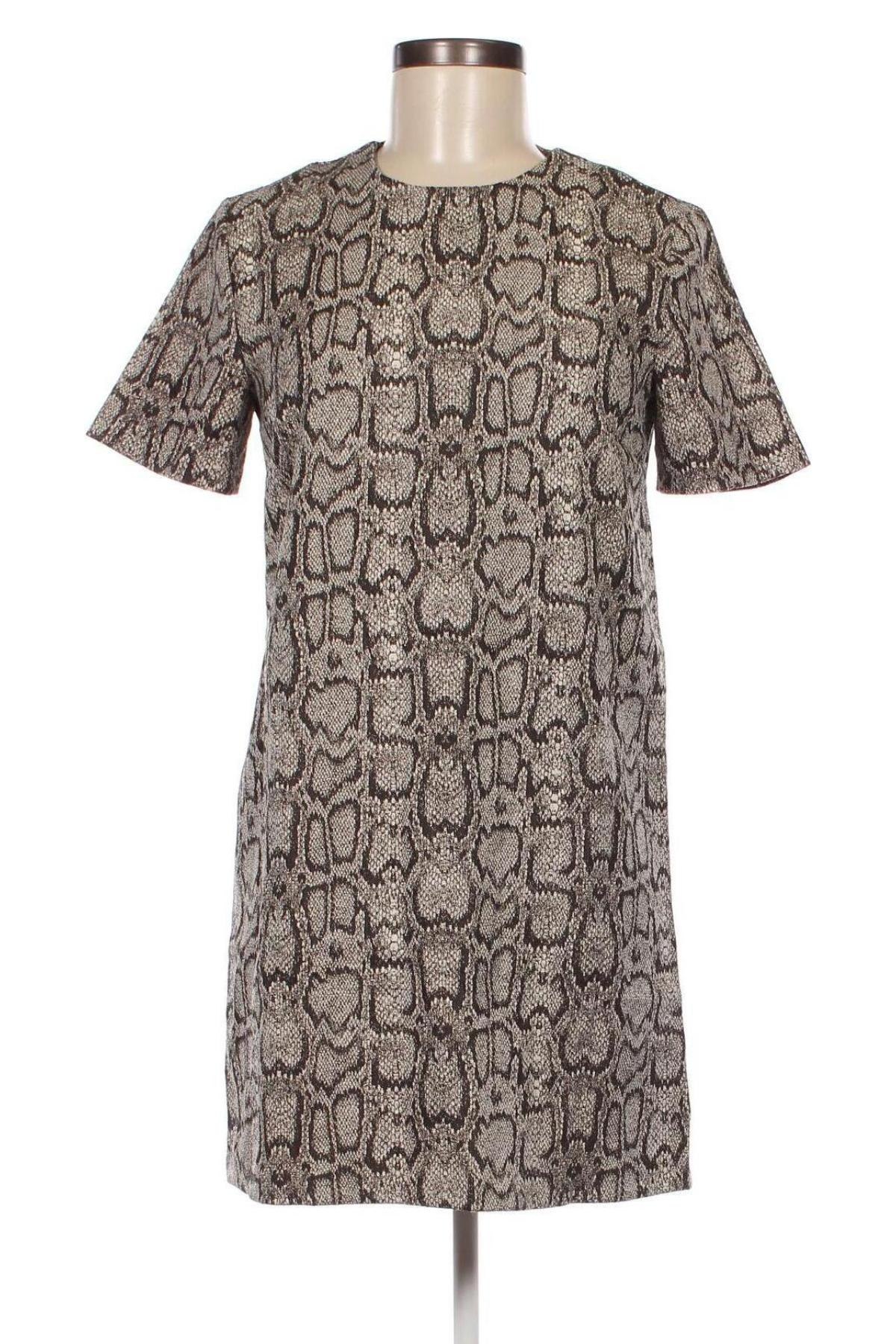 Φόρεμα Zara, Μέγεθος S, Χρώμα Πολύχρωμο, Τιμή 8,68 €