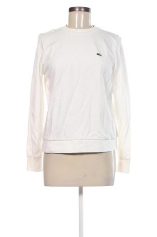 Damen Shirt Lacoste, Größe M, Farbe Weiß, Preis 51,99 €