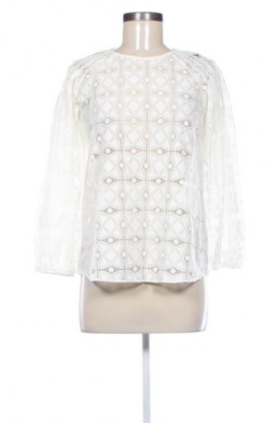 Damen Shirt Massimo Dutti, Größe S, Farbe Weiß, Preis € 36,99