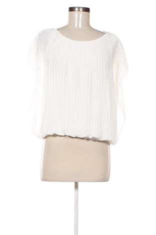 Damen Shirt NEW COLLECTION, Größe S, Farbe Weiß, Preis € 18,99