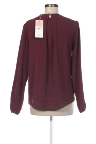 Damen Shirt ONLY, Größe S, Farbe Braun, Preis € 32,99