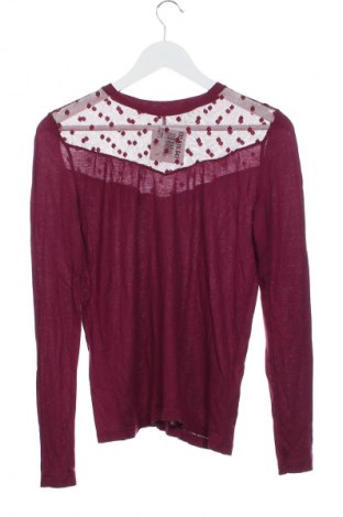 Damen Shirt ONLY, Größe XS, Farbe Lila, Preis € 7,99