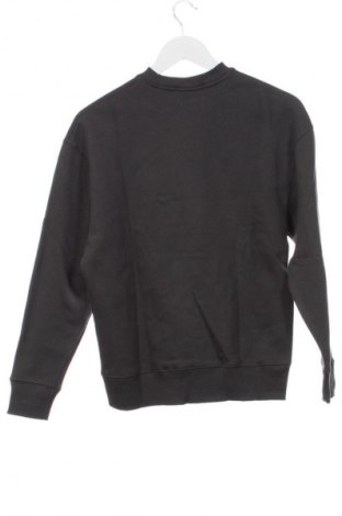 Γυναικεία μπλούζα Pull&Bear, Μέγεθος XXS, Χρώμα Γκρί, Τιμή 39,99 €
