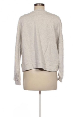 Damen Shirt Ted Baker, Größe M, Farbe Mehrfarbig, Preis 112,99 €