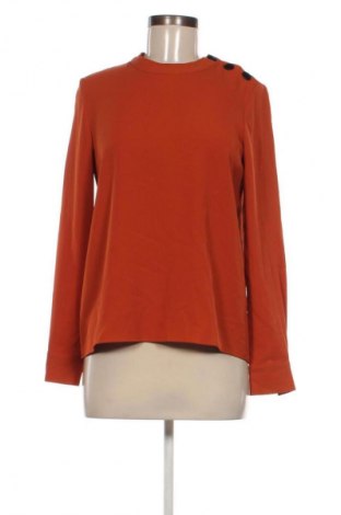 Damen Shirt Unbranded, Größe L, Farbe Braun, Preis € 13,99