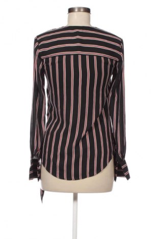 Damen Shirt Warehouse, Größe S, Farbe Mehrfarbig, Preis € 9,99
