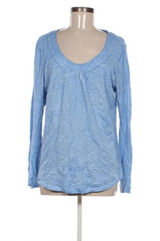 Damen Shirt Woman By Tchibo, Größe M, Farbe Blau, Preis 13,99 €