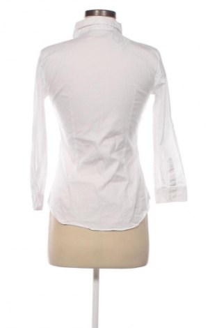 Damen Shirt Zara, Größe M, Farbe Weiß, Preis € 13,81