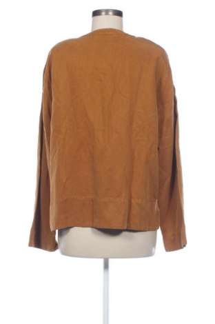 Γυναικεία μπλούζα Zara, Μέγεθος XL, Χρώμα Καφέ, Τιμή 14,00 €